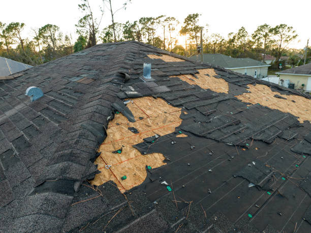 4 Ply Roofing in Canby, MN