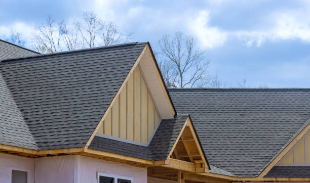 Best Sheet Metal Roofing  in Canby, MN