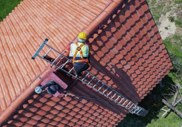 Best Chimney Flashing Repair  in Canby, MN