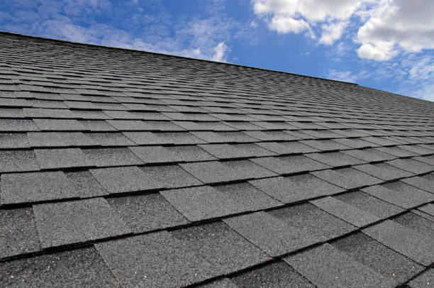 Best Commercial Roofing Services  in Canby, MN